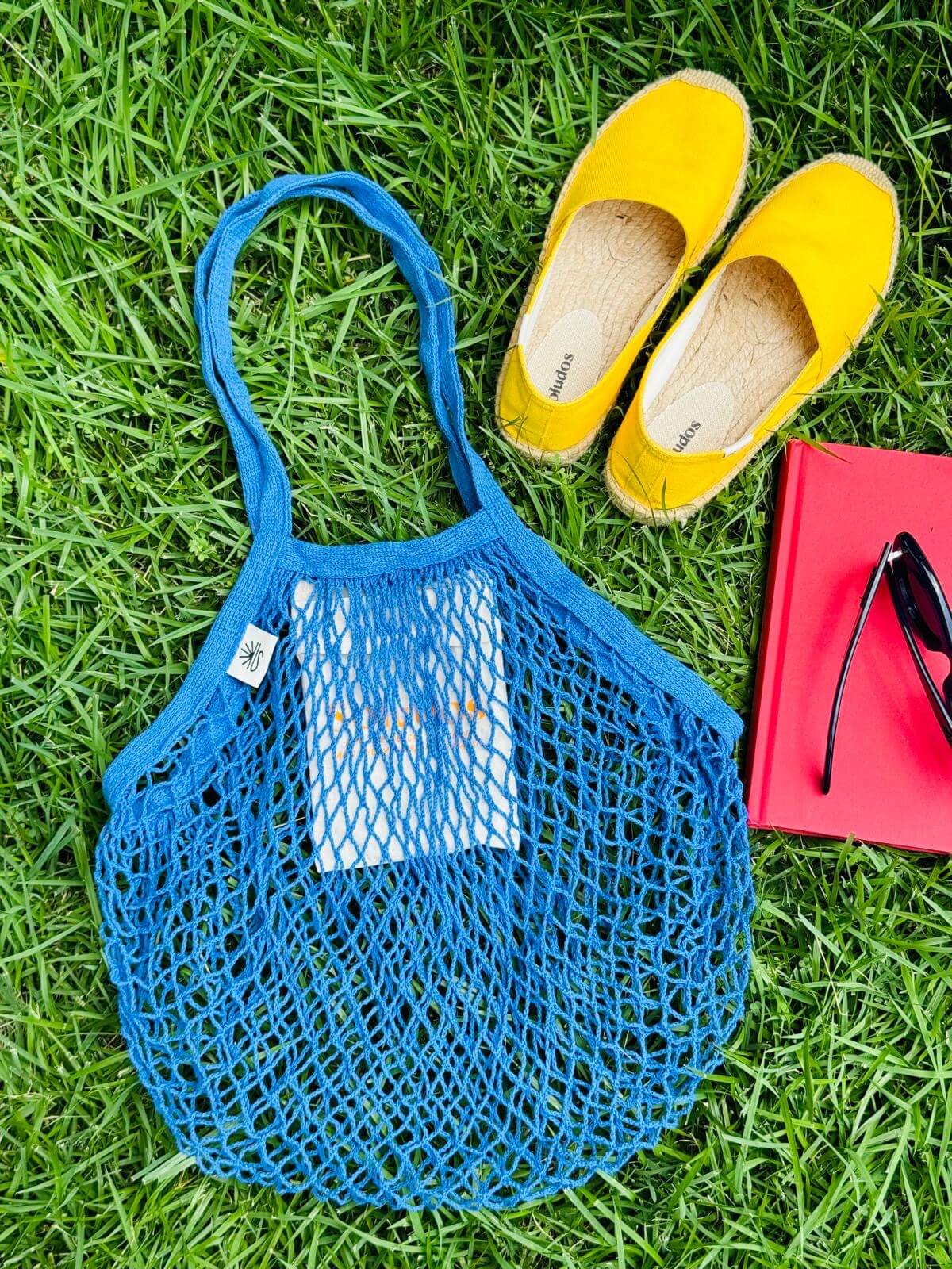 Blue mesh bag on grass